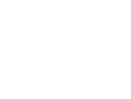 Dr. Ali Signature